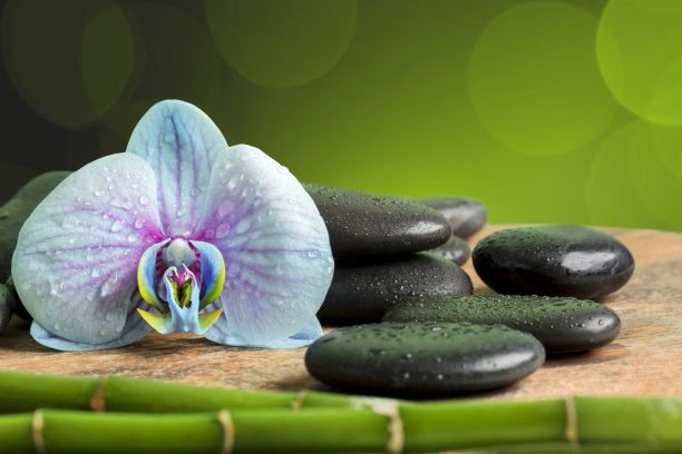 水疗概念-黑色按摩石，兰花和竹杆在绿色的散景背景图片下载