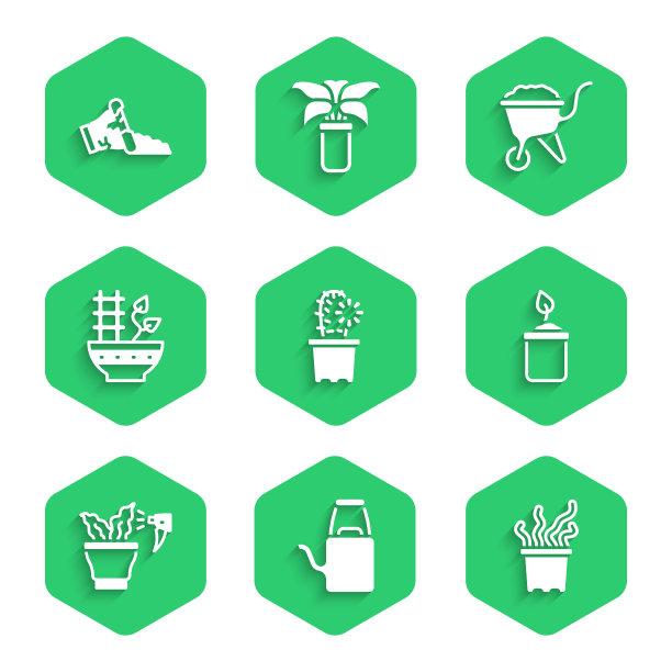 把仙人掌仙人掌放在充满异国情调的水壶里图片下载