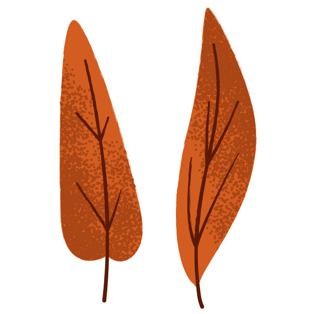 秋天的叶子带有白色的纹理孤立在一起图片下载