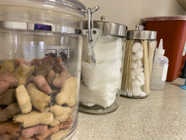 兽医检查室内装有医疗用品的不锈钢盖玻璃罐图片下载