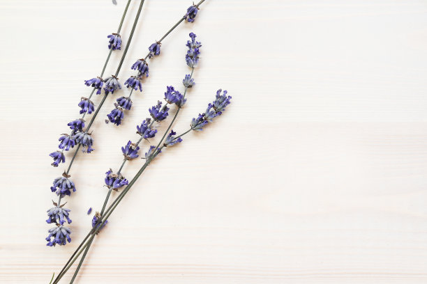 木制背景下的天然薰衣草干花。俯视图，放置文本。图片下载
