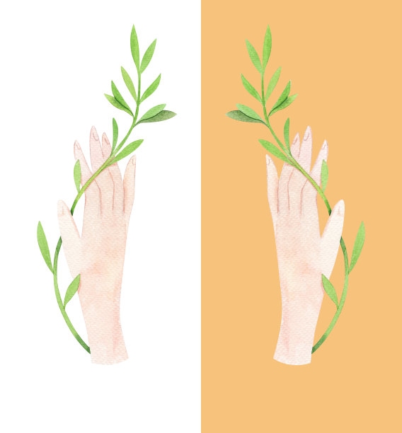 女子手用嫩绿的树枝孤立，手绘水彩插图。图片下载