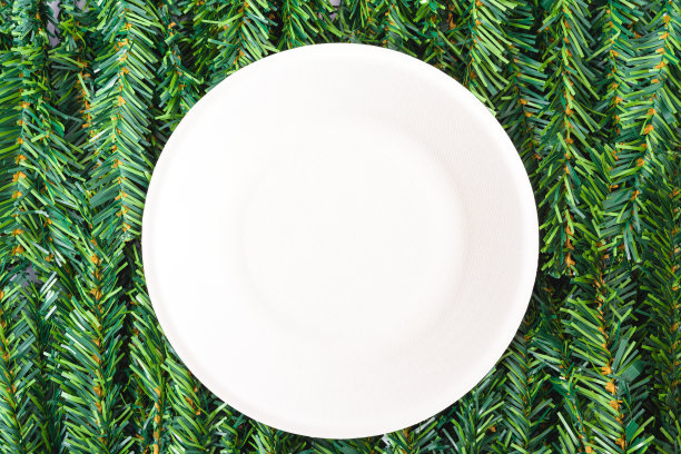 新年和圣诞节快乐，俯视图平铺构图装饰树枝树，白色圆形图片下载