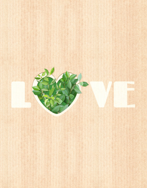 心形的洞和绿叶纸板纹理。生态系统概念图片下载