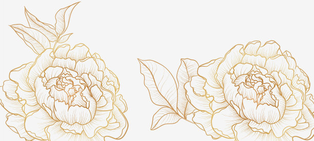 自然装饰模板牡丹线条轮廓图片下载
