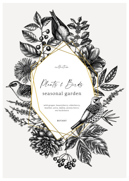 带有手绘鸟的复古花环设计图片下载