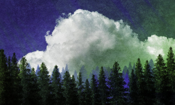 常青林之上的积云图片下载