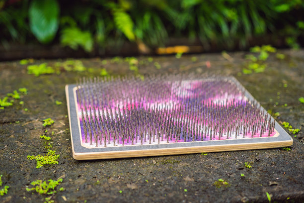 木板上钉了很多金属钉子。瑜伽工具图片下载