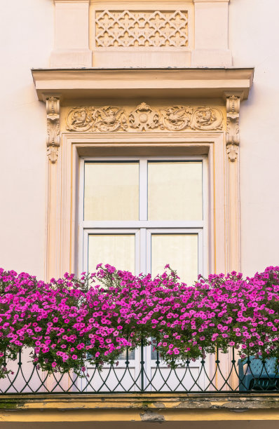 古色古香的窗户和装饰着鲜花的阳台图片下载