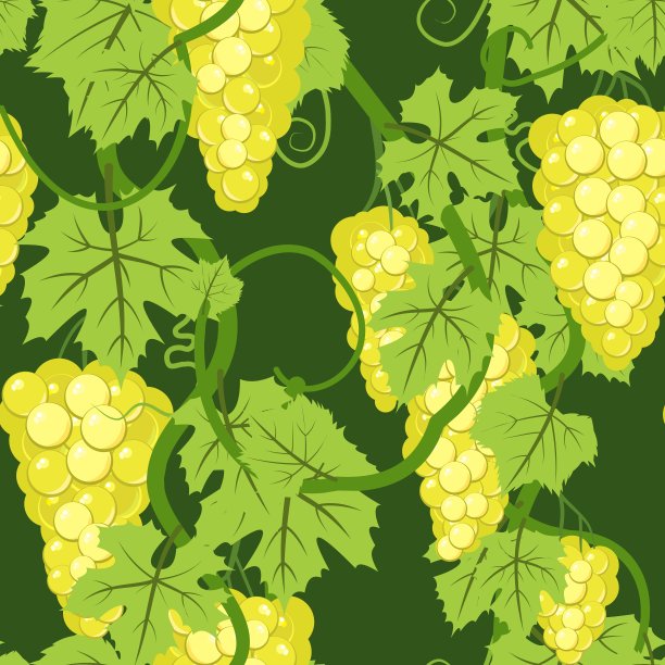 串葡萄。浓密的灌木上有浆果的树枝。年轻的葡萄园。甜蜜的秋收。在黑暗的背景。无缝模式。向量。图片下载
