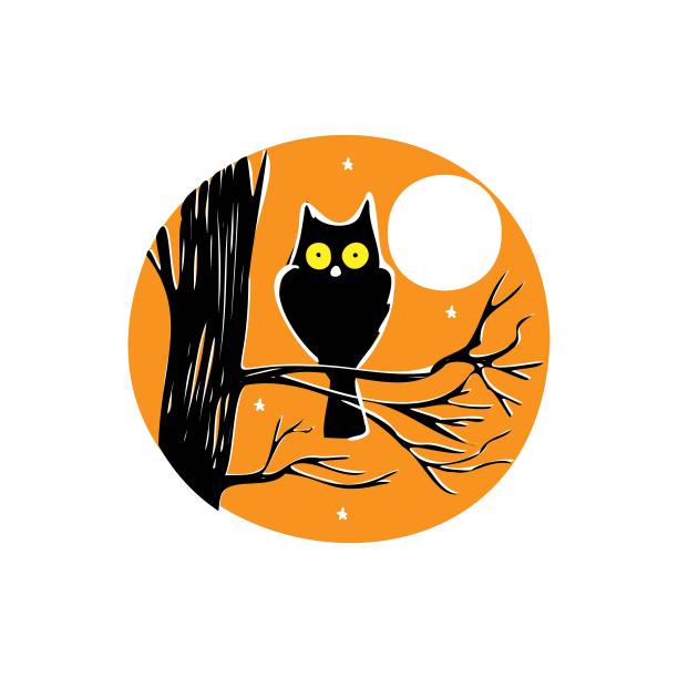 猫头鹰在夜晚与月亮在白色的背景图片下载