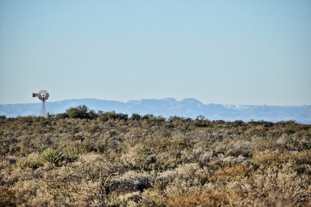 睡觉夫人风车图片下载