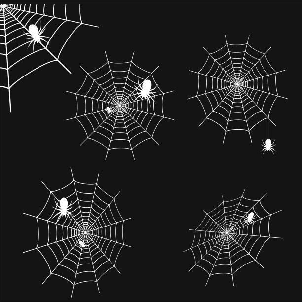 一套白色蜘蛛网与蜘蛛在黑色的背景。蜘蛛网。向量图片下载