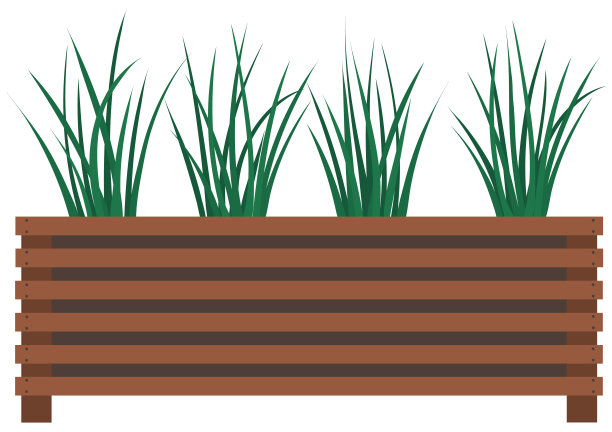 长，低花盆，有小的绿色草本植物。嫩草，木盆室内盆栽图片下载