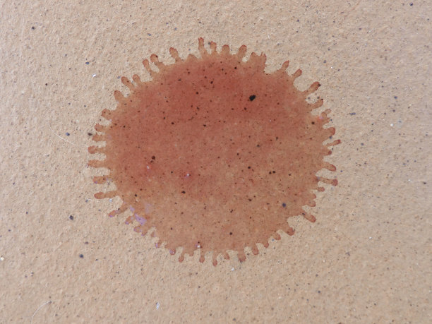 红酒掉在地板上。水滴的形状像冠状病毒图片下载