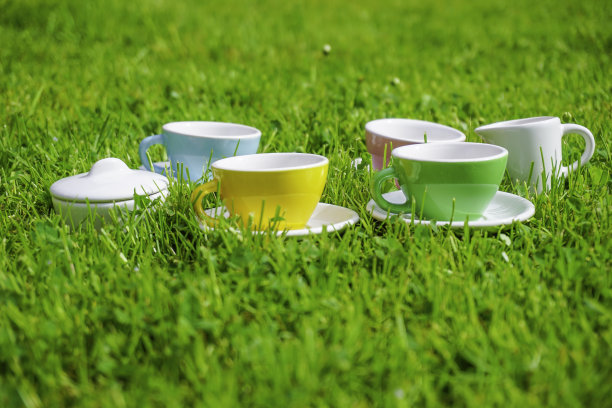 绿色牧场上的娃娃屋瓷器图片下载