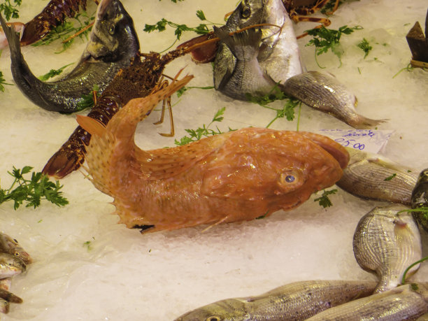 街市档位鲜鱼图片下载