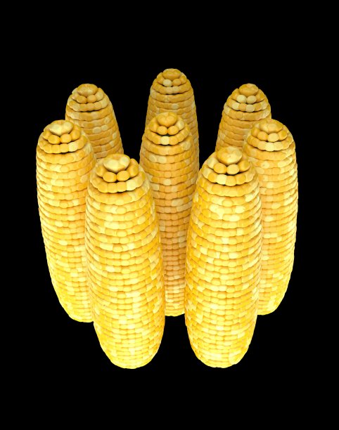 玉米图片下载