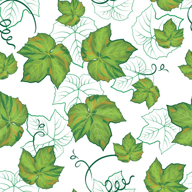 无缝花纹葡萄叶图片下载