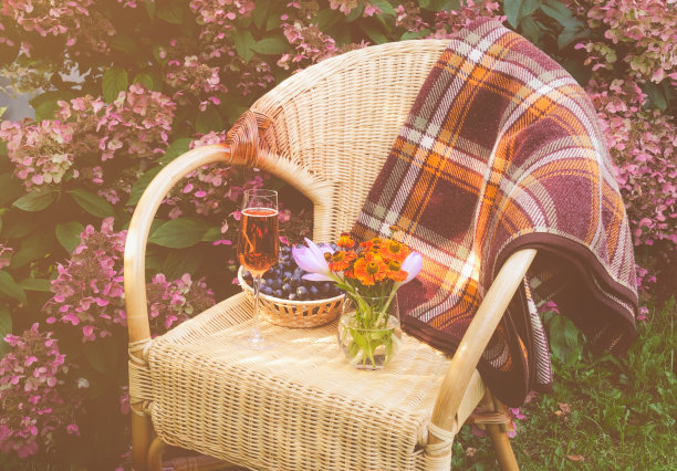 一杯玫瑰香槟，葡萄和一束氦和秋天的番红花放在花园的柳条椅上。复古风格。图片下载