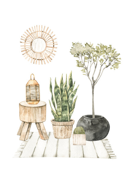 现代室内水彩画插图，花盆，镜子，木桌和地毯上的家庭植物。热带氛围。家居装饰预制构图。完美的海报，印刷品，杂志，卡片图片下载
