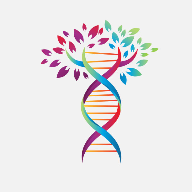 螺旋dna树标志设计矢量图标简单的标志自然dna链图标图片下载