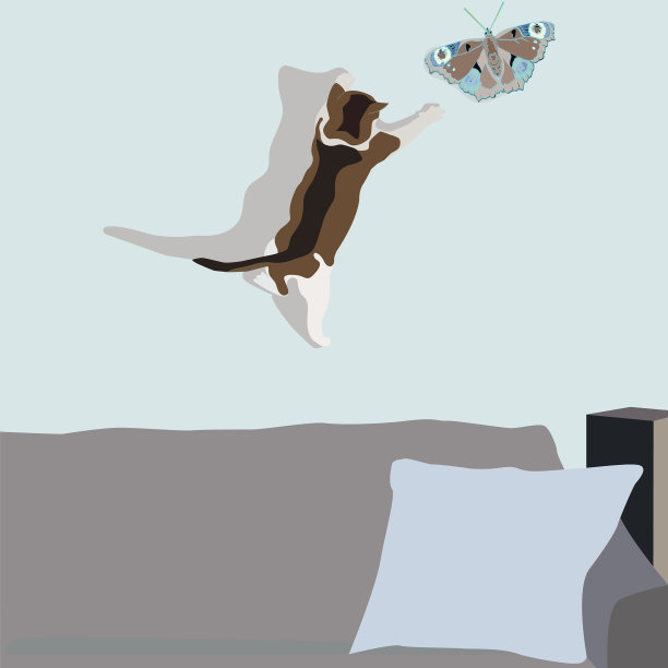 小猫在墙上抓了一只蝴蝶图片下载