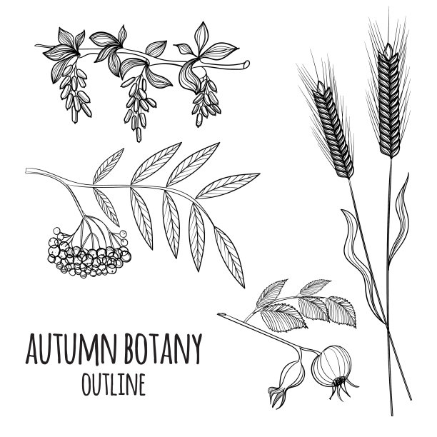 设置手绘秋天元素图片下载