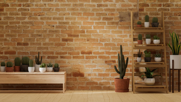 现代室内空间在舒适的家庭花园，仙人掌和最小的植物与红色砖墙，3d渲染图片下载