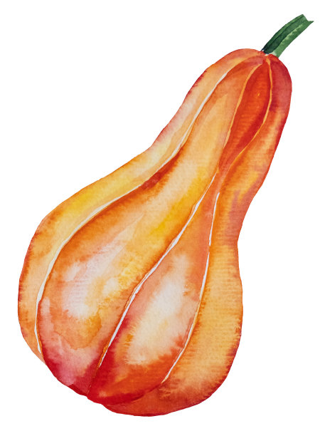 秋天水彩橙南瓜图片下载