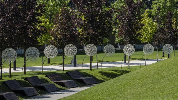 多层次景观城市公园“克拉斯诺达尔”或“加利茨基公园”，有观赏树和山坡上的绿色草坪。舒适的木凳位于人行道上。休闲和散步的地方。图片下载