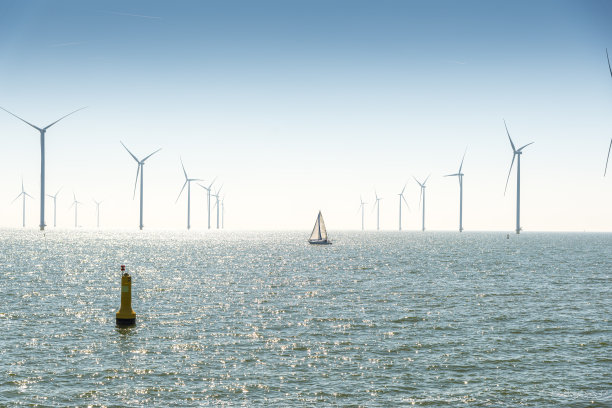 荷兰最大的风车农场，可持续发展，可再生能源图片下载