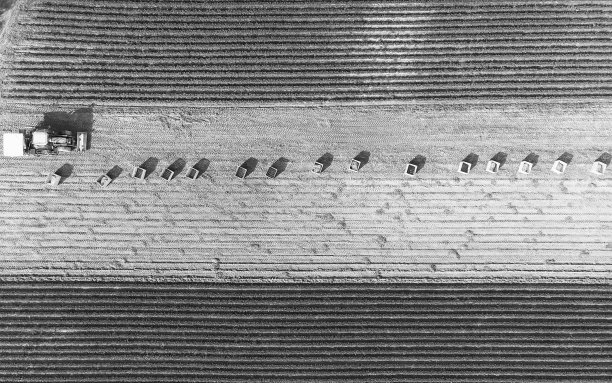 一切准备就绪，等待收获图片下载