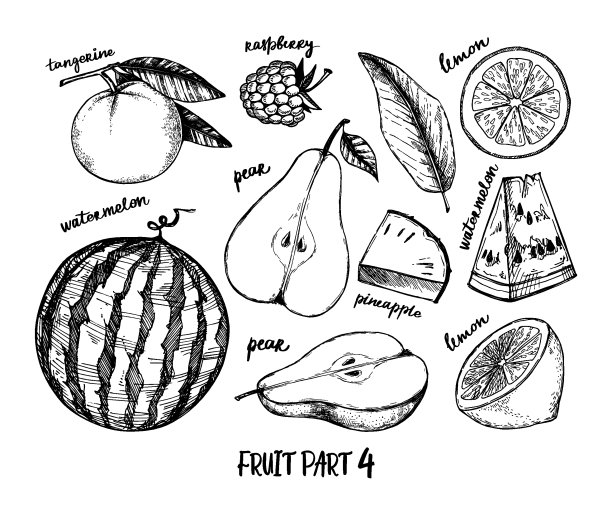 手绘矢量插图-收集热带和奇异的水果。健康食品的元素。覆盆子、西瓜、梨、柠檬等。完美的菜单，包装，广告，烹饪书图片下载
