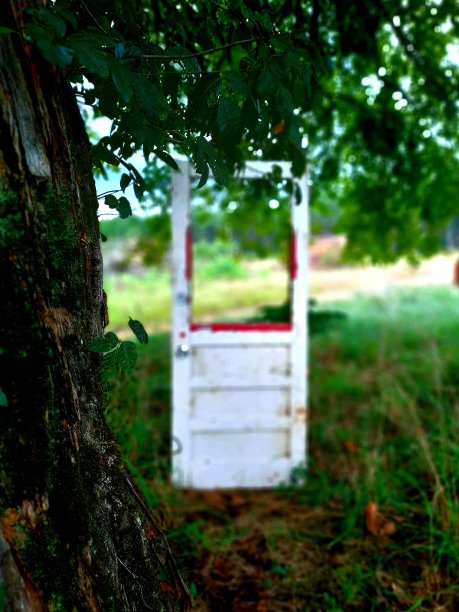 客人的到来。图片下载