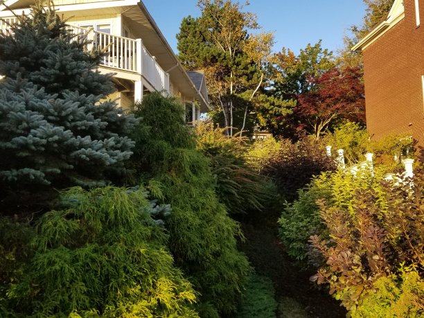 景观庭院图片下载