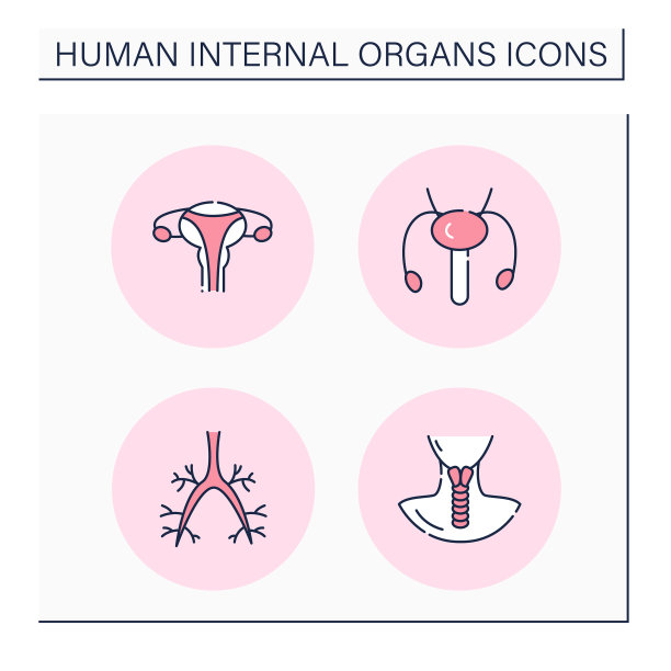 人体内部器官颜色图标设置图片下载