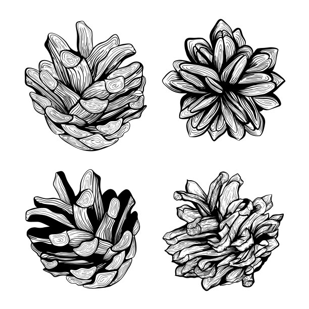 为圣诞节而设计的一套松果图片下载