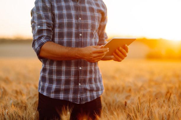 智能农业的概念。图片下载