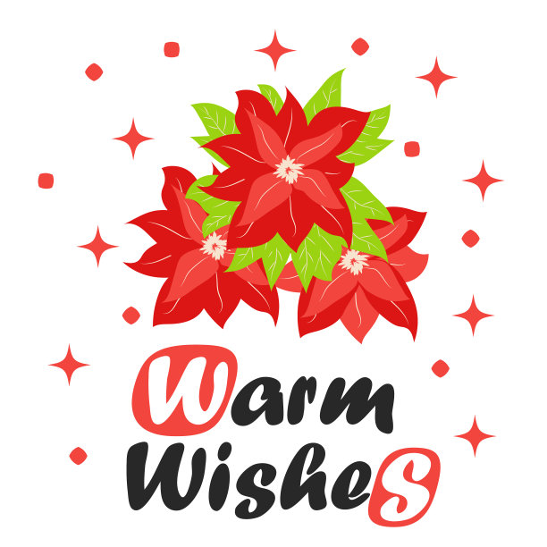 花束传统圣诞一品红图片下载