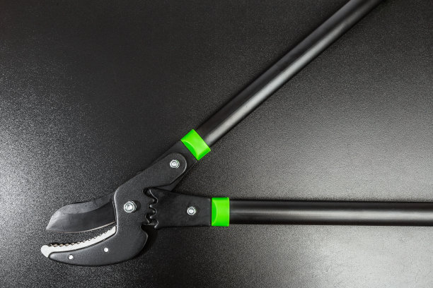 剪枝在树木上修剪树枝园艺工具在黑色背景-图片图片下载