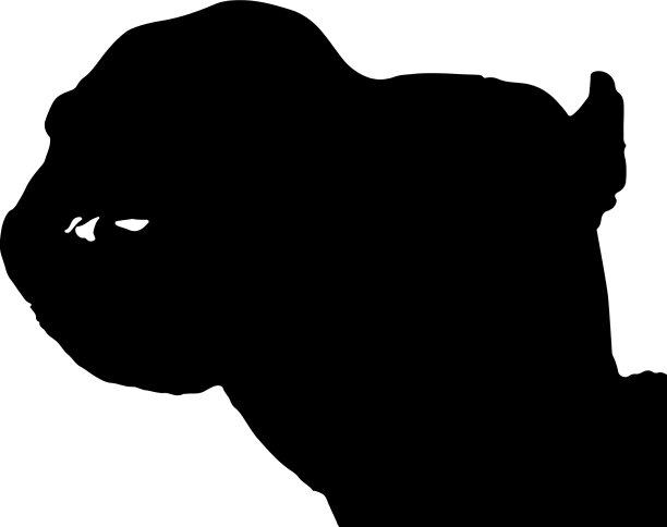 骆驼轮廓图片下载