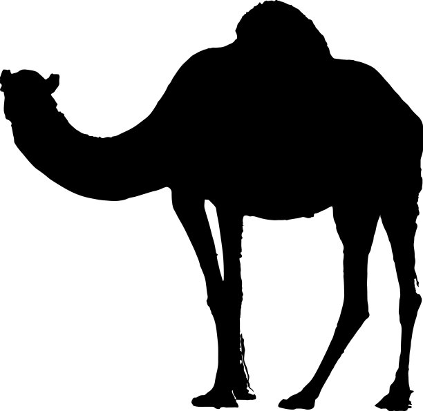骆驼轮廓图片下载