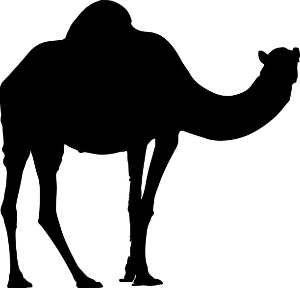 骆驼轮廓图片下载