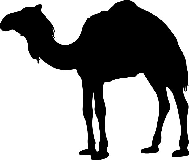 骆驼轮廓图片下载