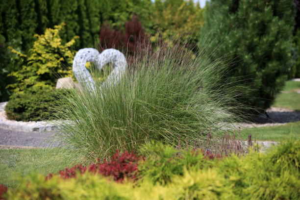 公园里为情侣准备的漂亮装饰图片下载