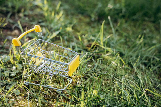 可持续消费。空荡荡的购物车在绿色的草地背景。“零浪费”的概念。副本的空间。图片下载