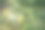 可持续消费。空荡荡的购物车在绿色的草地背景。“零浪费”的概念。副本的空间。图片下载