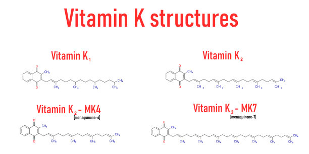 维生素k化学结构图片下载