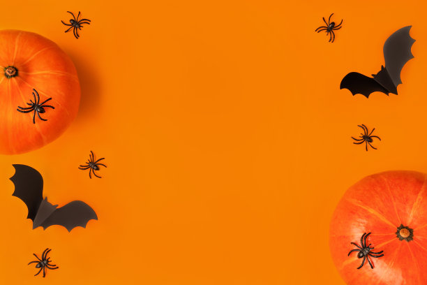 南瓜和橙色背景上的卡通黑蝙蝠和蜘蛛构成了万圣节。创意时尚的平面lay与文本的地方。图片下载